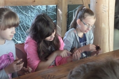 SAMSUNG CAMERA PICTURES