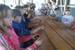 SAMSUNG CAMERA PICTURES