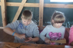 SAMSUNG CAMERA PICTURES