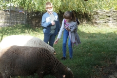 SAMSUNG CAMERA PICTURES