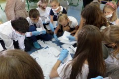 SAMSUNG CAMERA PICTURES