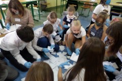 SAMSUNG CAMERA PICTURES