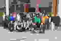 f8497bb6-a222-49d8-9a63-7290180a7cdf