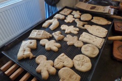 SAMSUNG CAMERA PICTURES