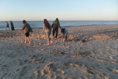 SAMSUNG CAMERA PICTURES