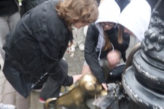 SAMSUNG CAMERA PICTURES