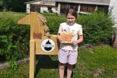 IMG-20260609-WA0008