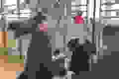 3927ca47-f926-4fa9-8866-1cb4847efe53