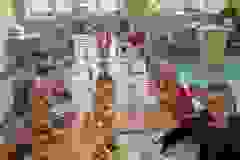 627671240_1307923878025149_1014379624182153285_n-1