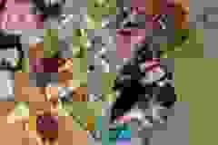 634102535_5303656093192356_8366085235705379200_n-1