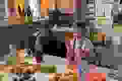 bd00a867-86d2-42a2-9891-59435f57a4e5