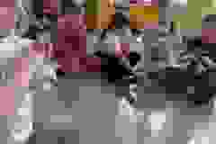 c4b28372-8b6e-48f0-81b0-c8965ad8a1a2