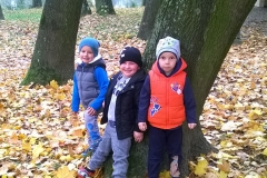 WP_20171020_11_30_32_Pro-crop