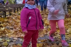 WP_20171020_11_31_20_Pro-crop