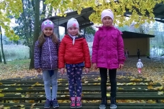 WP_20171020_11_33_29_Pro-crop