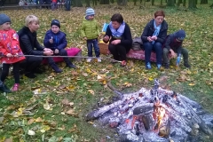 WP_20171020_11_35_21_Pro-crop