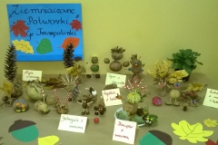 WP_20171026_10_03_06_Pro-crop