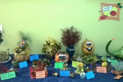 WP_20171026_10_03_45_Pro-crop