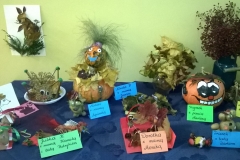 WP_20171026_10_04_30_Pro-crop