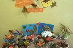 WP_20171026_10_06_53_Pro-crop