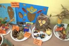 WP_20171026_10_09_28_Pro-crop