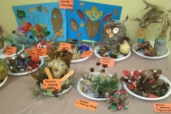 WP_20171026_10_09_40_Pro-crop