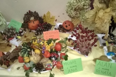 WP_20171026_10_11_13_Pro-crop