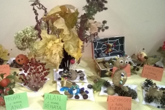 WP_20171026_10_12_01_Pro-crop